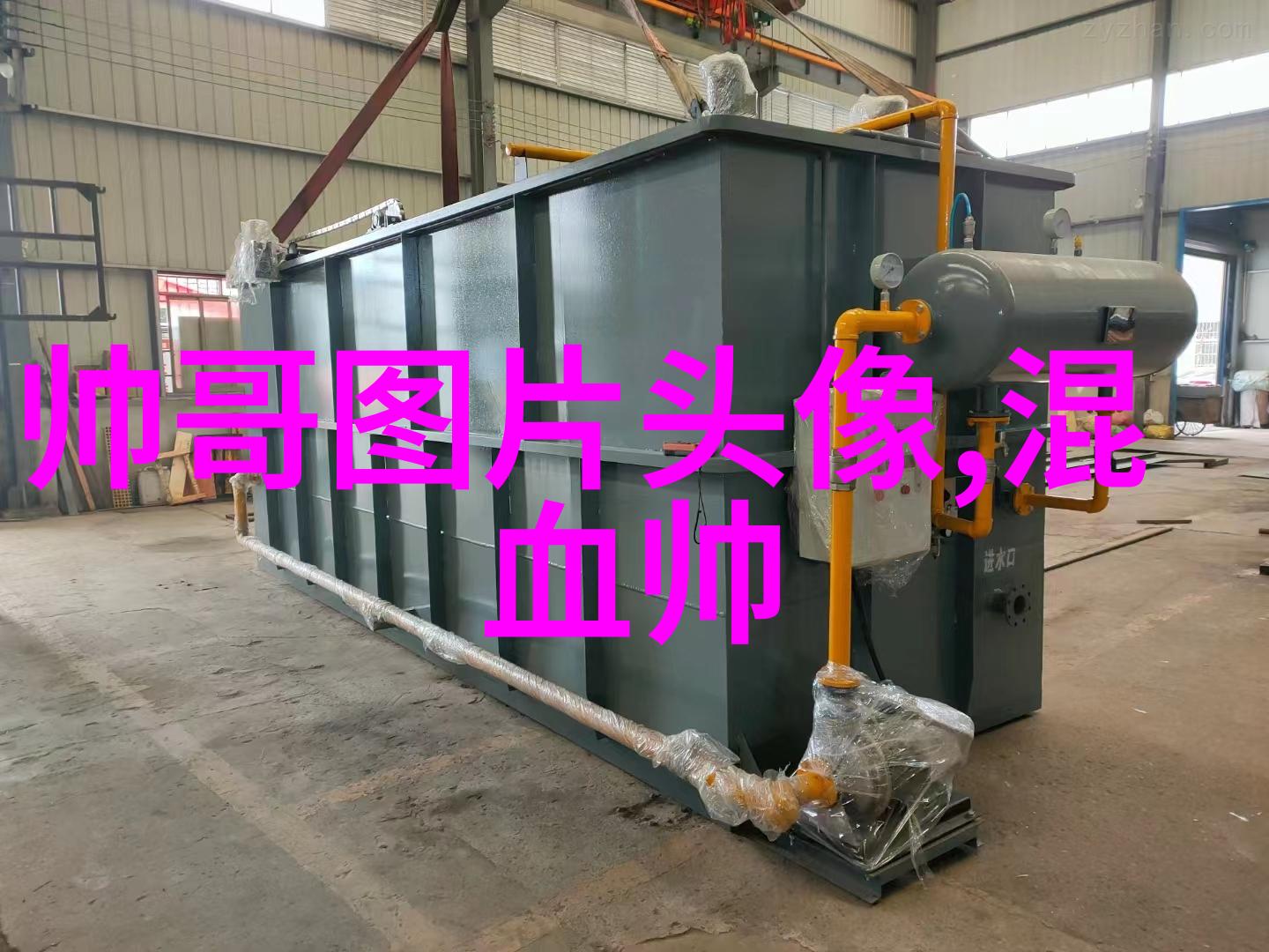 看透人心的智慧人生感悟的深度探索