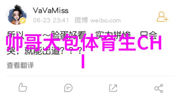 丁真421页pdf中最恶心的一页是哪一页
