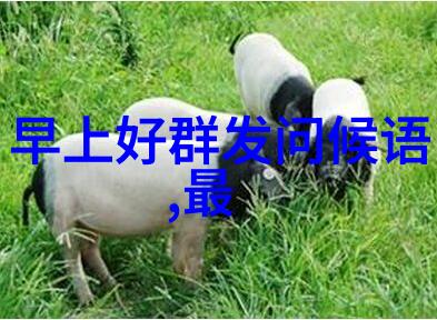 酷狗音乐版本大全下载G.E.M.邓紫棋与华纳音乐中国携手独家发行全新专辑启示录