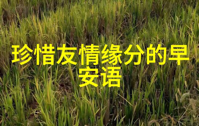 陈乔恩现身北京善行者站点通过图片识别技术找回原图为队员提供自然环境下的补给助力