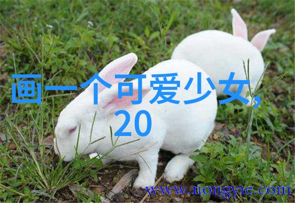 全球恐怖影片榜首揭秘揭晓震撼人心的十大惊魂电影