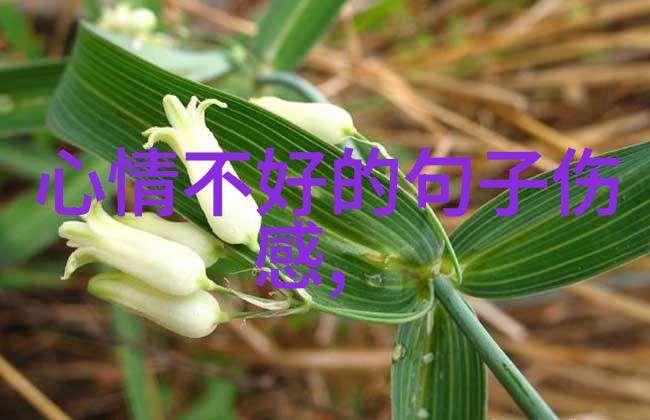 日本美女的秘密武器从花束到忍者刀