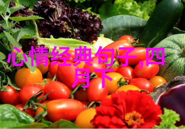 早晨阳光的拥抱温暖每个心灵的问候