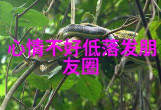 教室的幻想老师卡通画像