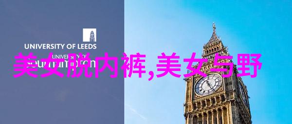 星光下的幻想明星小说的魅力与挑战
