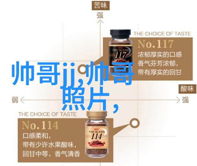 超越时间的界限一种跨世纪学术视角下的文化遗产研究方法论探索