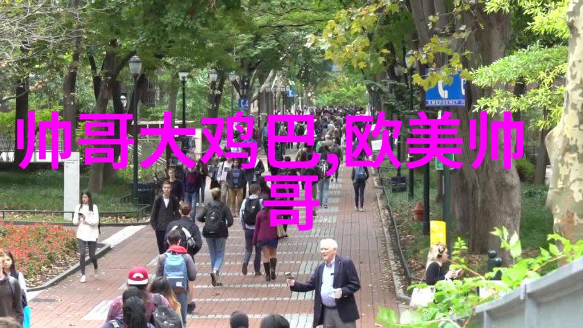 2022最火动态背景图片刮风的迷雾之中神志飘渺