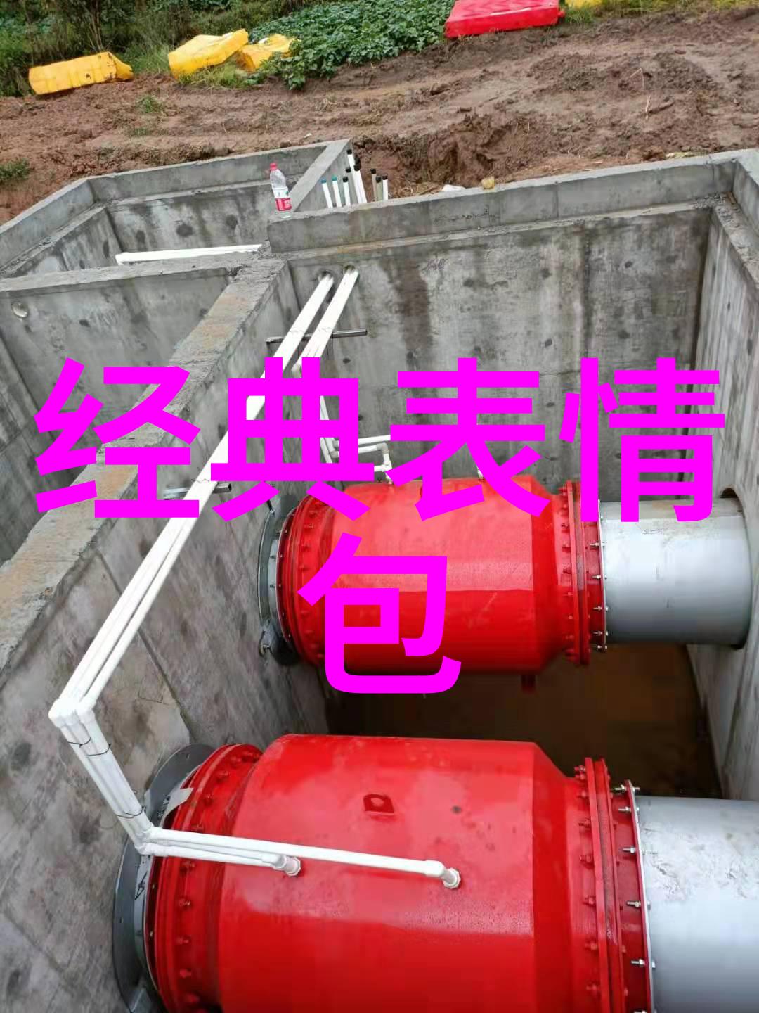 绚烂星光下的热恋雪花般的肌肤与阳光般的笑容