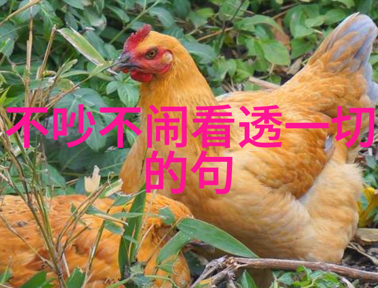 微信群聚之窗免费邂逅网络纽带