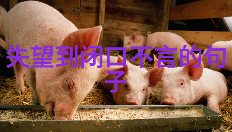 甜蜜绘梦探索可爱卡通女生魅力