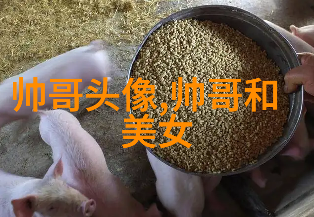 武则天秘史杨童舒回应以家人之名大结局陈婷人设争议