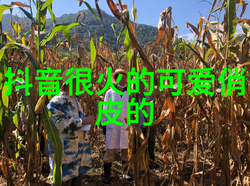 镜中的倒影是否能揭示隐藏在现实之下的惊悚真相