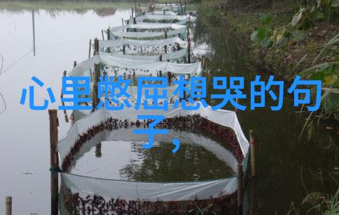 绽放的旋律一曲可爱之歌的诞生