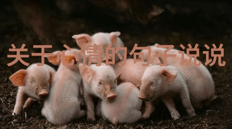 心碎画卷撕心裂肺的哀愁
