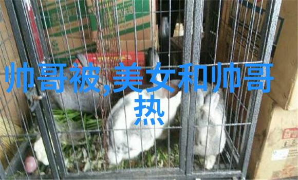 霸气帅气情侣网名设计数据驱动的完美搭档