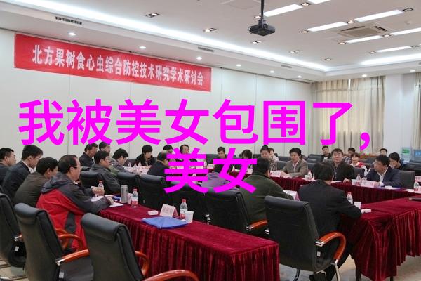 美女与野兽的全部图片-镜中奇缘探秘美女与野兽的视觉盛宴