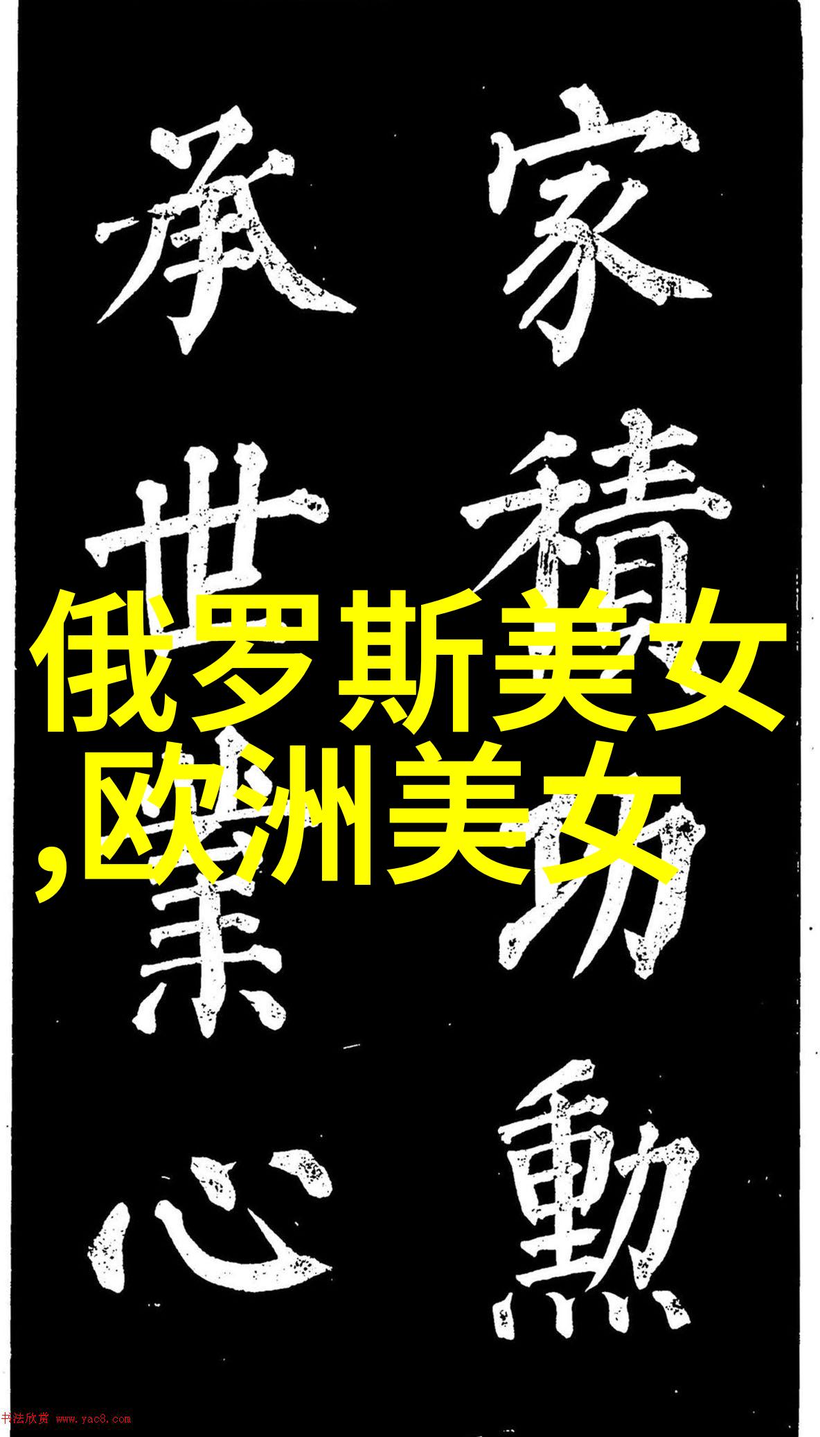 闪耀星光我喜欢的明星与它们背后的故事