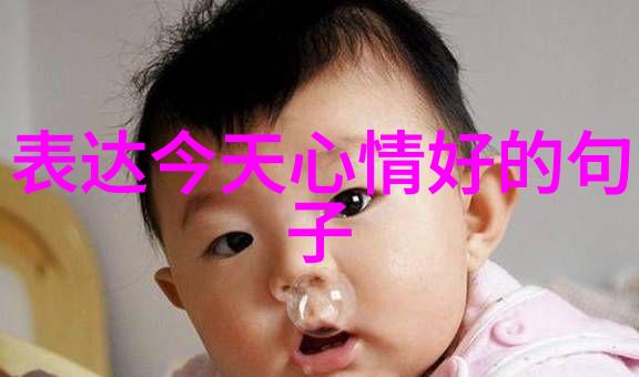 人生感悟追逐梦想的旅途
