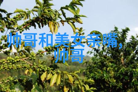10个让你眼前一亮的泳装美女造型分享