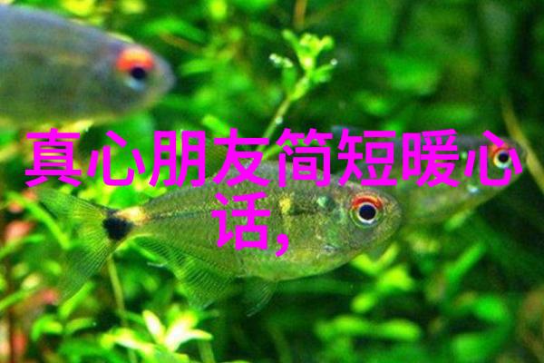 舞动的魅力夜空下的艳舞