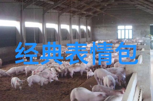 无需掏钱的社交盛宴探索免费聊天软件的奇迹