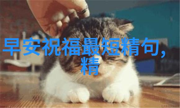 亚洲小鲜肉帅哥GARY的秘密是什么