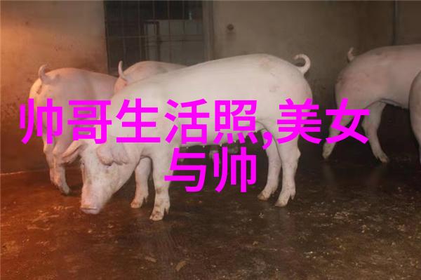 阴影中的诱惑中国鬼片的恐怖边界