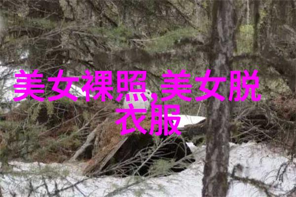 最近好看电视剧刘亦菲陈晓梦华录上映时间及结局介绍在社会热议中