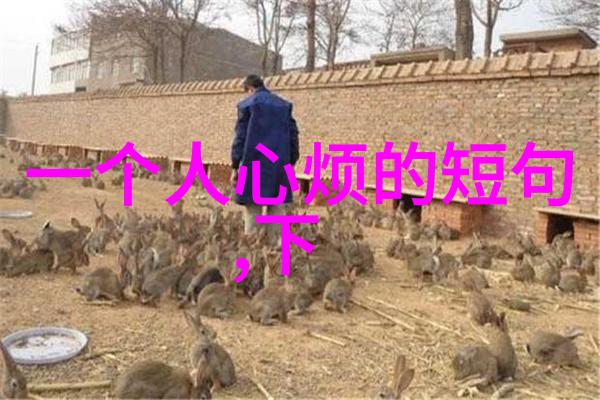 旭日东升晨曦初照早安世界每一天都是新的开始