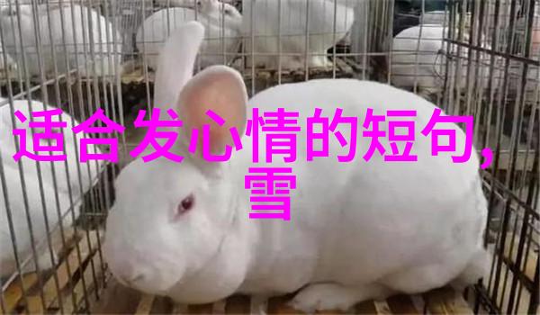 帅哥视频我眼中的那些帅气小伙子
