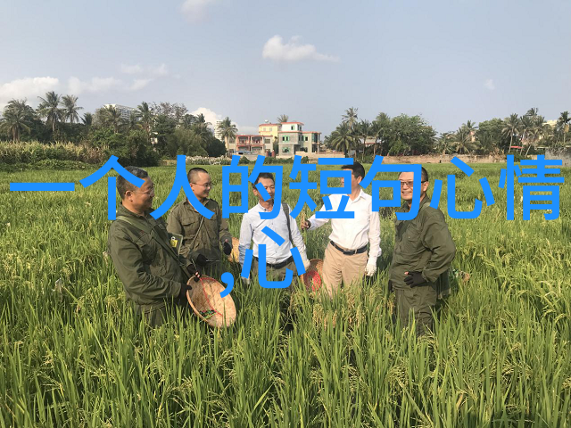 好看可爱桌面壁纸来点小清新让我心情更舒畅