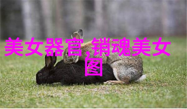 字海深处的数字涟漪