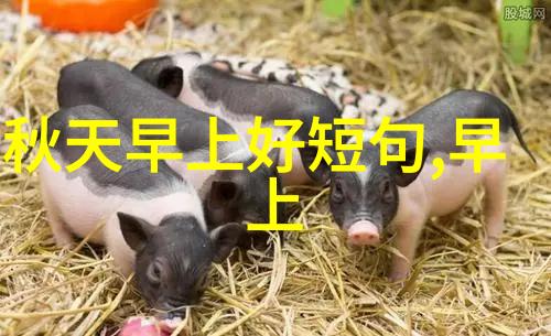 幸福之名藏于英文的旋律中