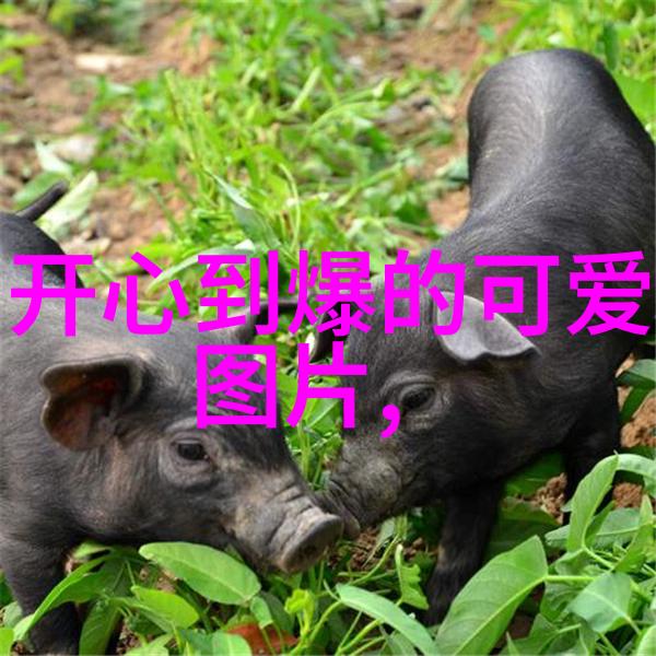 心灵的疲惫在忙碌与压力中寻找平衡