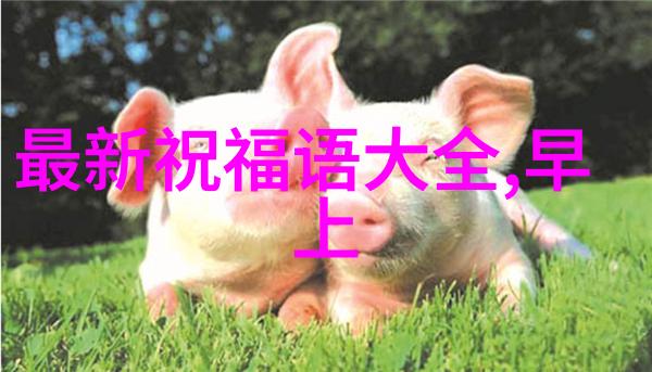 广东新闻中林峰和老婆的故事就像一部精心编排的剧情谁知结局竟是如此令人惊叹