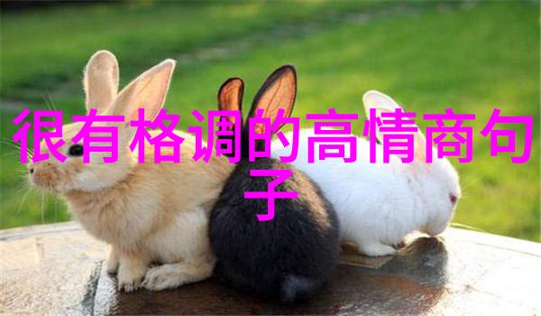 世界十大真实故事人类奇迹