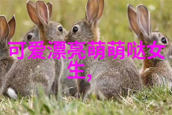 心情很失落的句子我觉得每天都在重复那些无聊的话题
