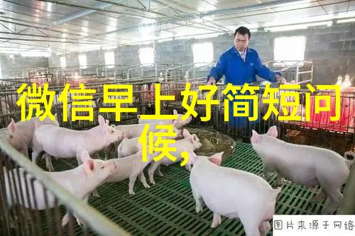 穿越成炮灰的可爱小精灵