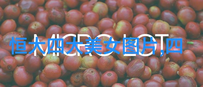 软件之恋探索小婷的魅力与秘密