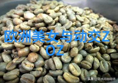 中国最帅的男明星时尚风范与艺术魅力并重