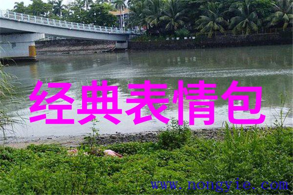自然风光中的时尚秀场户外拍照技巧分享