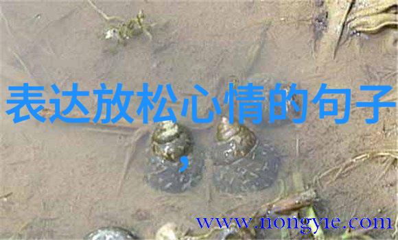 心情好生活美好的日子3月的阳光下我们追逐着彩虹感受着生命的温暖