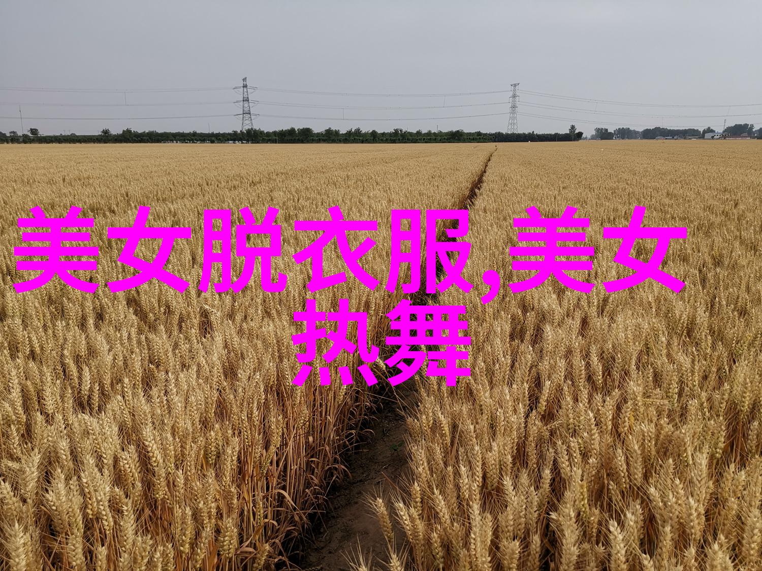 明星帅哥-红毯上的俊男郎剖析明星帅哥的魅力