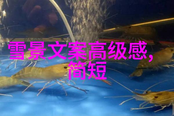 2021每天免费发放资源QQ群-每日丰收揭秘2021年那些免费资源QQ群的秘密
