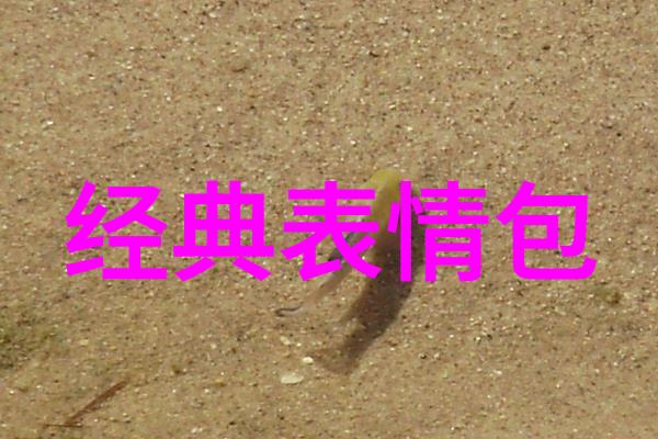 藏族的传统节日-雪域盛事揭秘藏历新年