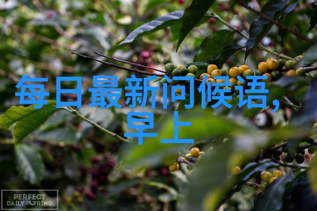 鸟语林间小径晨曦初照