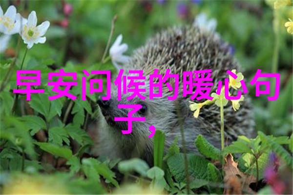 霸道王者最温柔的QQ霸气网名