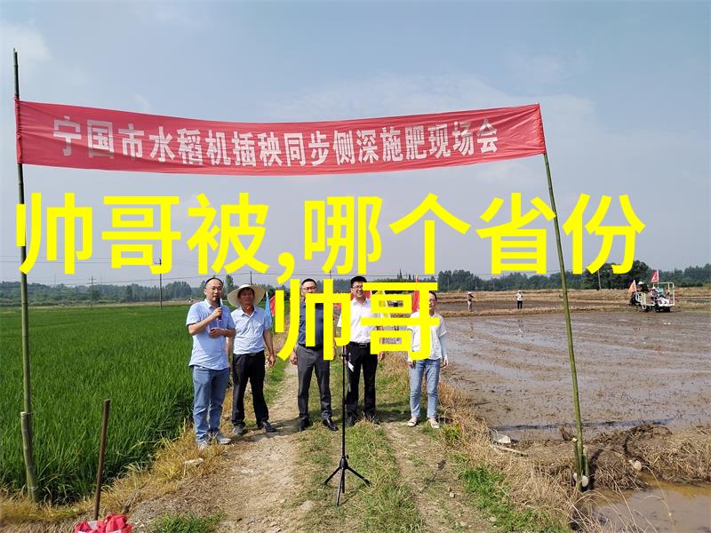 我的姐姐是大明星光芒四射的影视界偶像