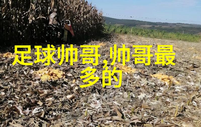 晨曦启航每日一句温暖心语