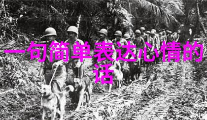 香港帅哥的魅力背后的故事与文化影响